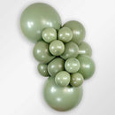 DELUXE EUCALYPTUS 11" SEMPERTEX BALLOONS 100CT